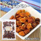 ゴールデンベリー 1ｋｇ ドライフルーツ 世界美食探究 無添加 インカベリー 食用ほおずき スーパーベリー スーパーフード 製菓 製パン