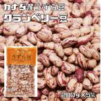 うずら豆（クランベリー豆）1kg 豆力 いんげん豆 徳用 乾燥豆 豆 手料理 手作り 輸入豆 カナダ産 業務用