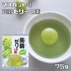 Yahoo! Yahoo!ショッピング(ヤフー ショッピング)蒟蒻ゼリーの素 マスカット 75g 大島食品工業 粉末 製菓材料 業務用 国産 国内産 こんにゃくゼリー 葡萄 洋菓子材料