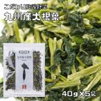 大根葉 40g×5袋 九州産 吉良食品 だいこん葉 ドライ大根葉 干し野菜 国産 国内産 乾物 便利野菜 備蓄 非常食