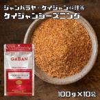 ケイジャンシーズニング 100g×10袋 GA