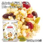 グラノーラ 240g×4袋 フルーツ＆ナッツ ふわサク 日食 オーツ麦 シリアル 乾燥果実 玄米 5種シリアル 9種フルーツ＆ナッツ