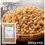 白小豆 1kg 豆力 北海道産 白あずき 