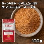 【メール便送料無料】GABAN スパイス ケイジャンシーズニング　（袋）　100ｇ 【 香辛料 パウダー】