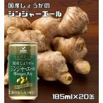 国産生姜ジンジャー 185ml×20缶 神戸居留地 生姜ジュース しょうがジュース 炭酸 スパークリング 富永貿易