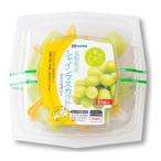 シャインマスカット ひとくちゼリー 21ｇ×10個 北辰フーズ ミニサイズ 北海道 シャーベット シャーベリアス おやつ