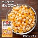  Popcorn 1kg бобы сила экономичный ручная работа Pop Corn бобы America производство кукуруза закуска закуска сладости бизнес количество большая вместимость 