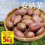 安納芋 ベビーサイズ 5kg (4.5kg+保証分500g) 土付き 生芋 (130g以下のSS〜Sサイズ) 鹿児島県産 さつまいも 2023年産