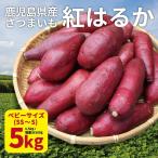 さつまいも 紅はるか ベビーサイズ 土付き 5kg (4.5kg+傷み保証分500g) (130g以下のSS〜Sサイズ) 2024年産
