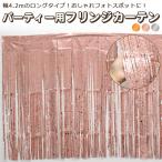  party для бахрома занавески ( колесо кисточка занавески ) звезда рисунок ламе день рождения . party Event день рождения фото материнство - фото часть магазин оборудование орнамент 