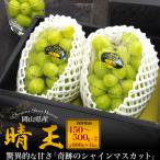 Okayama префектура производство автомобиль in мускат ..2. комплект итого 900g~1kg превосходящий товар и больше максимально высокий сахар раз 25 раз местного производства фрукты фрукты мускат .. для в коробке .. соответствует возможность прохладный рейс рассылка 