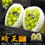 岡山県産 シャインマスカット 晴王 2房セット 計1.2kg 糖度20度 国産 高級 果物 フルーツ マスカット ぶどう 贈答用 ギフトボックス入り 熨斗対応可能 冷蔵配送