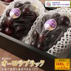  Okayama префектура производство Aurora черный 2. примерно 600g×2 шт сахар раз 17-18 раз местного производства виноград высококлассный фрукты фрукты чёрный серия виноград .... для подарочная коробка ввод .. соответствует возможность рефрижератор рейс рассылка 
