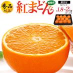 紅まどんな 愛媛県産 みかん 秀品以上 Mサイズ 1.8〜2kg 10〜12玉入り 国産 紅マドンナ 最高級 ミカン 薄皮 果物 フルーツ 贈答用 熨斗対応可能 常温便配送