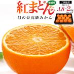 訳あり 紅まどんな 愛媛県産 みかん 秀品以上 Mサイズ 1.8〜2kg 10〜12玉入り 家庭用 紅マドンナ ミカン 薄皮 甘い 果物 フルーツ 箱買い 常温配送 アウトレット