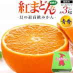 紅まどんな 愛媛県産 みかん 青秀 3L〜5Lサイズ 約3kg 7玉〜10玉入り  国産 紅マドンナ 最高級みかん 薄皮 甘い 果物 フルーツ 贈答用 熨斗対応可能 常温配送