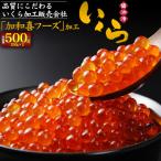 極上 いくら醤油漬け 加和喜 味付いくら チャム 500g(250g×2パック)  国産 サケ 鮭 魚卵 海鮮 いくら丼 寿司 お造り 寿司 イクラ ご自宅用 ご家庭用 冷凍配送