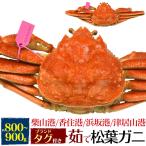  Hyogo префектура производство сосна лист ... Boyle сосна лист gani1 кубок 800g~900g бренд с биркой местного производства .. краб сосна лист краб .....matsuba краб сосна лист ... вода .... прямая поставка рефрижератор рассылка 