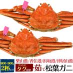 2 кубок комплект Hyogo префектура производство сосна лист ... Boyle сосна лист gani800g~900g×2 шт бренд с биркой местного производства .. краб сосна лист краб .....matsuba сосна лист ..... прямая поставка рефрижератор рассылка 