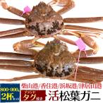 2 кубок комплект Hyogo префектура производство сосна лист ... сырой сосна лист gani800g~900g×2 шт бренд с биркой местного производства сырой gani сырой . сосна лист краб ..... сосна лист ... вода .... прямая поставка рефрижератор рейс рассылка 