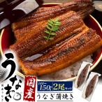 国産鰻 2尾セット 国産うなぎ 蒲焼き 約140g-150g×2尾 タレ付き うなぎ蒲焼 国産 鰻 手焼き 日本産 お取り寄せグルメ 包装箱入り 急速冷凍パック 冷凍便配送