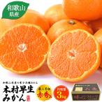  Wakayama префектура производство дерево .. сырой мандарин самый сверху и т.п. класс красный превосходящий товар примерно 3kg 30~36 штук входит местного производства высококлассный мандарин mi can .. фрукты фрукты коробка покупка ваш заказ подарок обычная температура рейс вся страна рассылка возможность 