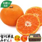  Wakayama префектура производство . река . сырой мандарин самый сверху и т.п. класс красный превосходящий товар примерно 3kg 30~36 штук входит местного производства высококлассный мандарин mi can .. фрукты фрукты коробка покупка ваш заказ подарок обычная температура рейс вся страна рассылка возможность 