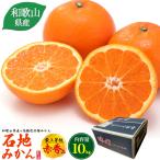  Wakayama префектура производство камень земля мандарин самый сверху и т.п. класс красный превосходящий товар примерно 10kg 100~115 штук входит местного производства высококлассный мандарин mi can .. фрукты фрукты коробка покупка ваш заказ подарок обычная температура рейс вся страна рассылка возможность 