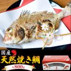 国産 天然 焼き鯛 1尾 約800g 焼き上がり約500g　縁起物 御祝 正月 お年賀 おせち料理 鯛 姿焼き 焼き魚 焼魚 タイ飯 お取り寄せ食材 熨斗対応可能 冷凍便配送