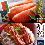  морепродукты роскошный набор комплект .. минтаевая икра Fukuoka ....1 подлинный товар + Кагосима префектура производство .... жарение местного производства .... барабан угорь угорь фарфоровая пиала было использовано рис. .... соответствует возможность рефрижератор рассылка 
