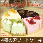 ショッピングケーキ 母の日ギフト プレゼント お誕生日ケーキ 宅配 スイーツ ギフト おしゃれ 送料無料 アソートケーキ