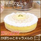 敬老の日 プレゼント ギフト お菓子 スイーツ ポタジエ監修 Wチーズケーキ かぼちゃとキャラメル