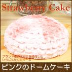 ケーキ-商品画像