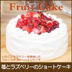 母の日 ギフト お菓子 誕生日ケーキ バースデーケーキ 子供 人気 プレゼント 宅配 送料無料 苺とラズベリーのショートケーキ 5号