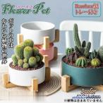 寄せ植え植木鉢プランタ鉢多肉植物鉢...