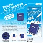 【全世界対応】トランク型AC充電器 CS-ACG/2P iPhone対応 USB 2ポート 2.4A 1A iPad 高出力 急速充電対応 コンセント 海外対応 2台同時 2A  旅行 トラベルグッズ