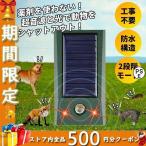 [ снижение цены ] защита от кошек аукстический солнечный водонепроницаемый животное .. контейнер вредитель меры защита от кошек товары кошка меры кошка .. кошка исключая . мышь меры . птица меры кошка избежать собака исключая .inosisi..