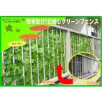 目隠しグリーンフェンス1×3ｍ　ライトグリーン　緑のカーテン グリーンカーテン　日除け　日よけ