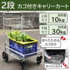 2段カゴ付きカート キャリーカート カゴ付き 買い物 カート シルバーカー かご付き カゴ 安定 安い 収穫 運搬 楽々 省スペース ショッピング （倉出し