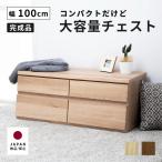 収納家具 扉付き チェスト リビング 引き出し おしゃれ 組み立て不要 安い 100 収納 家具 おしゃれ 北欧 2段 タンス ロー大容量 白 オーク 木製