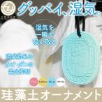 珪藻土 オーナメント 除湿 湿気剤 500ポイント消化 ドライ 超吸水 速乾 4色展開 便送料無料