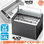 製氷機 自家製アイスメーカー 高速製氷機 最短5分 アイスメーカー クリアロック 2種製氷サイズ 家庭用 氷貯蔵量0.6kg 大型水タンク1.6L RM-230H