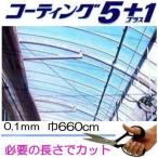 カット販売 農POフィルム コーティング５＋1 ＵＶ プラス1UV 厚み0.1mm 幅660cm 長さ30ｍ＋切売り タキロン シーアイ saka