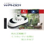 AI функция установка автоматика окно .. робот WR-001 Fuji . надежный внутренний производитель 1 год гарантия 
