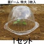 (3枚入) 苗ドーム 特大 苗カバー 第一ビニール　(zs30)