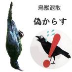 迷惑鳥撃退 からすのかーすけ 本物の羽毛