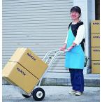 ハラックス タフボーイ TB-R アルミ製 重量物運搬台車 ハセガワ 長谷川工業 (法人/個人 選択)