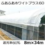 (1点限り奉仕品) 8ｍ×34ｍ カット済 (ハトメ加工なし)ふあふあホワイトプラス60 遮光率60％ ハウス遮熱資材 遮光資材 ふわふわエースの後継 ダイヤテックス zm