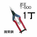 (8 шт до почтовая доставка Y300 возможно ) ( стандарт упаковка ) близко правильный ...T-500chikamasa(8 шт до .. пачка )
