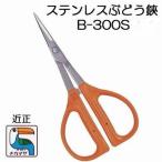 ( стандарт упаковка ) близко правильный нержавеющая сталь виноград .B-300Schikamasa( Smart письмо )